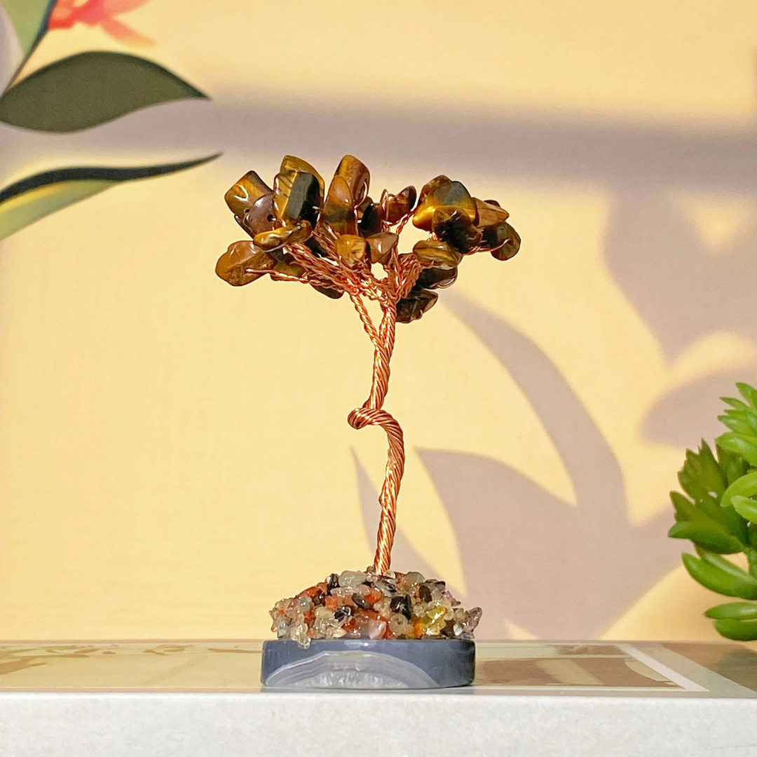 Miniature Tiger Eye Bonsai